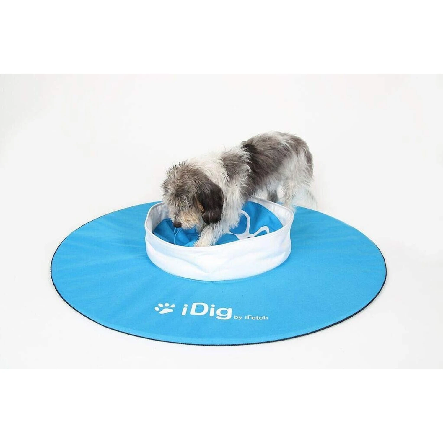 IFetch IDig Go Dog Toy, Blue - Image 2