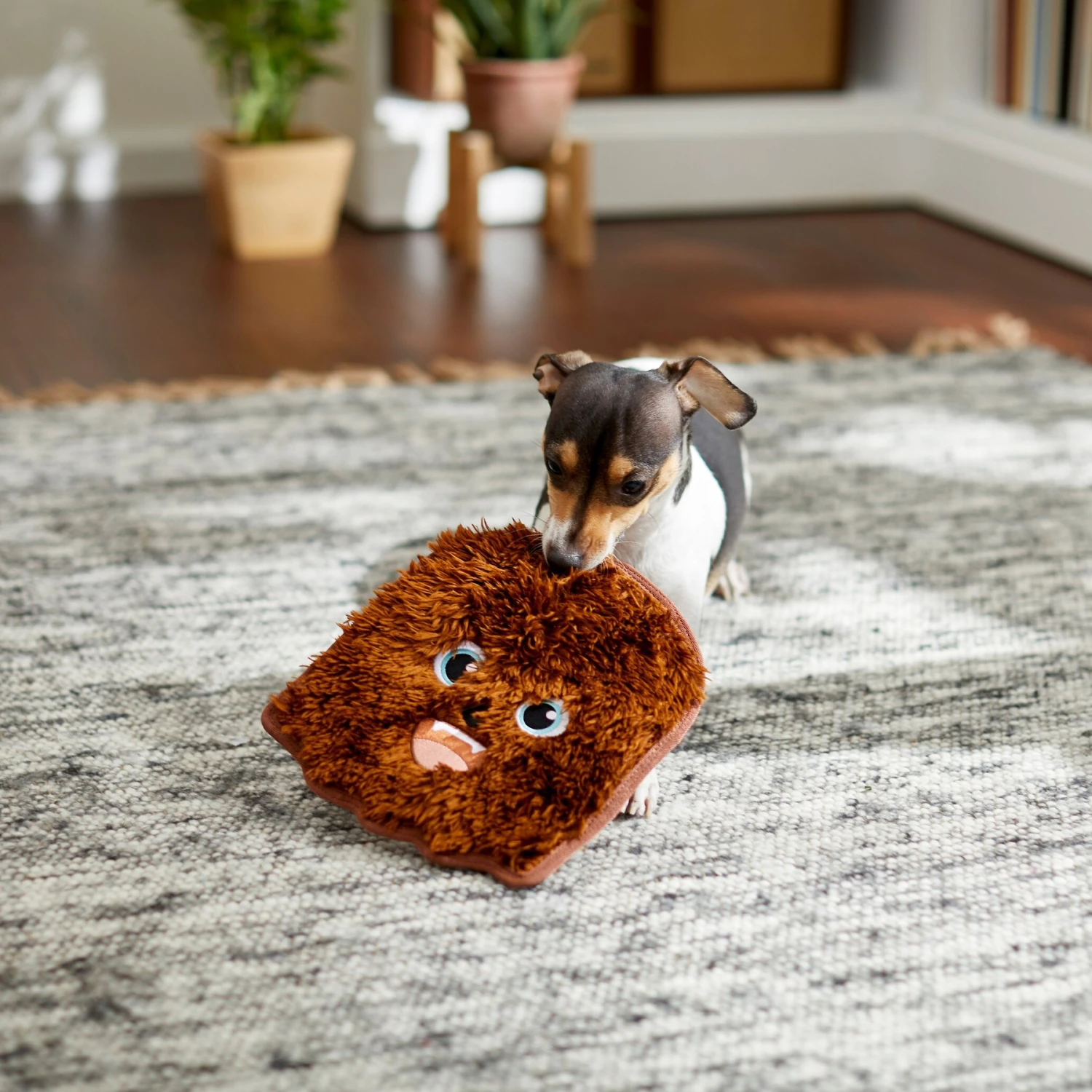 STAR WARS CHEWBACCA Flat Plush Squeaky Dog Toy - Image 4