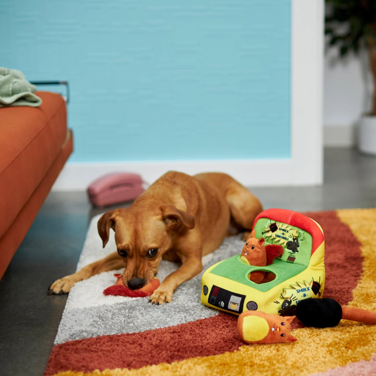 Frisco Retro Smack-a-Squirrel Hide & Seek Puzzle Plush Squeaky Dog Toy - Image 4