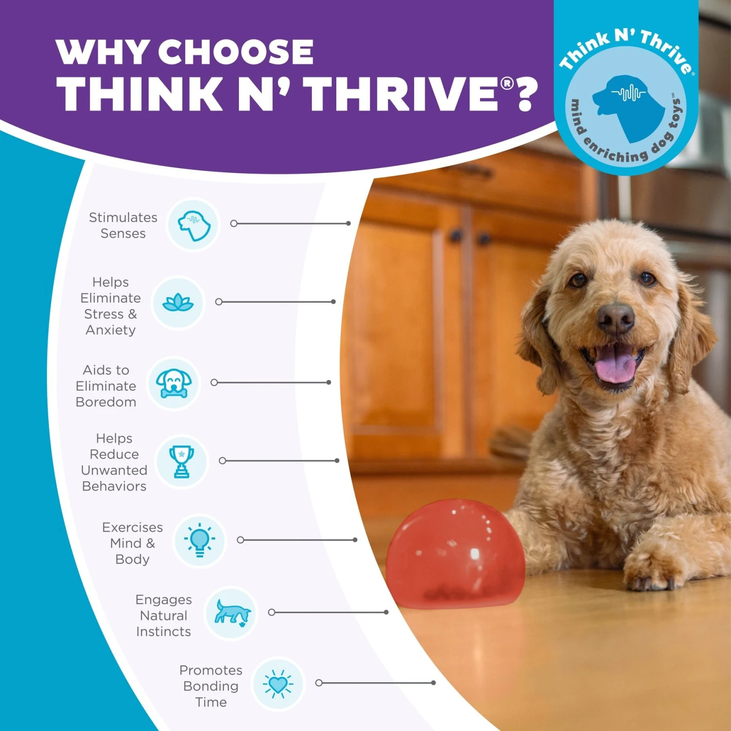 Planet Dog Orbee-Tuff Lil' Snoop Interactive Treat Dispensing Dog Toy - Image 6