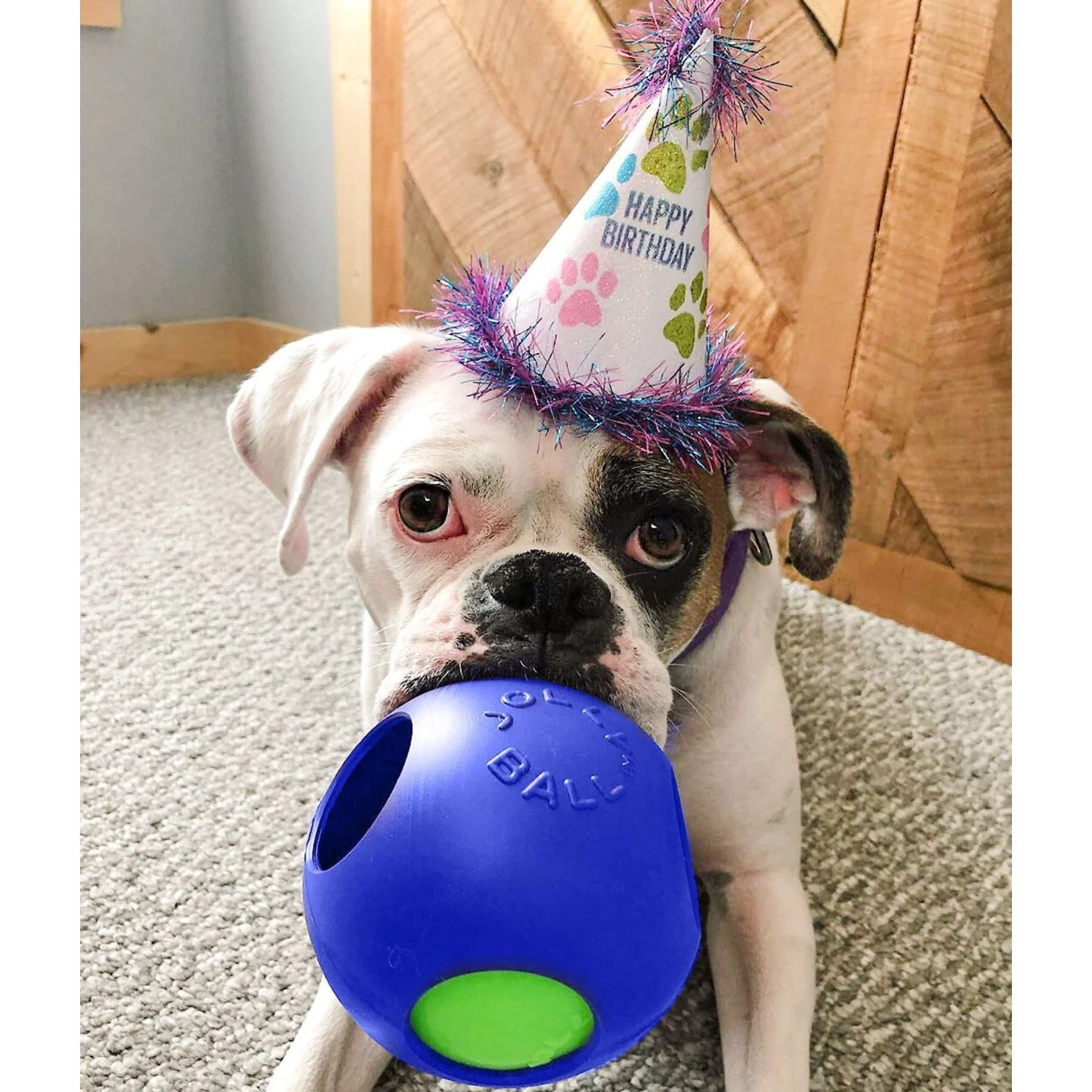 Jolly Pets Teaser Ball Dog Toy, Blue - Image 2