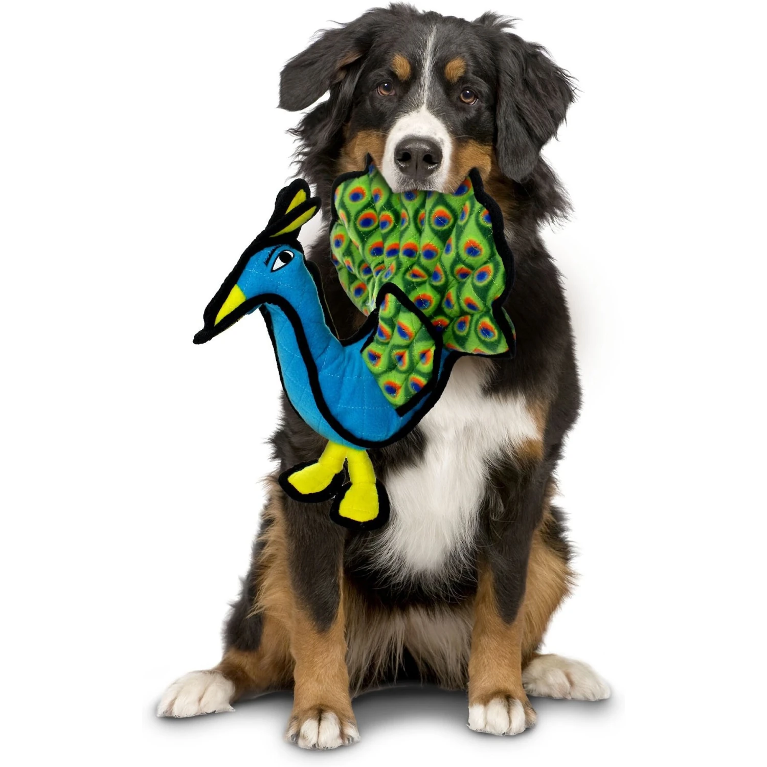 Tuffy's Zoo Peacock Squeaky Plush Dog Toy - Image 3